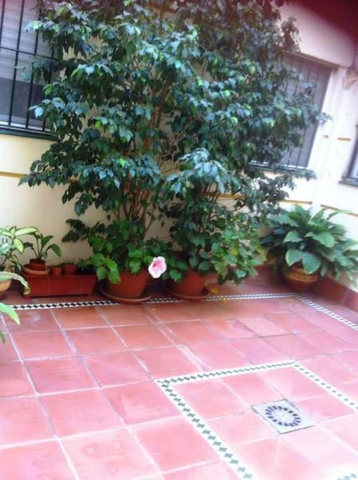 Apartamento Paola El Puerto de Santa Maria Exterior photo